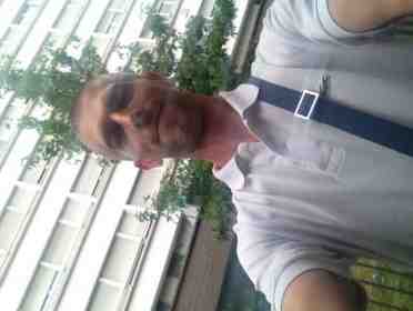75dany